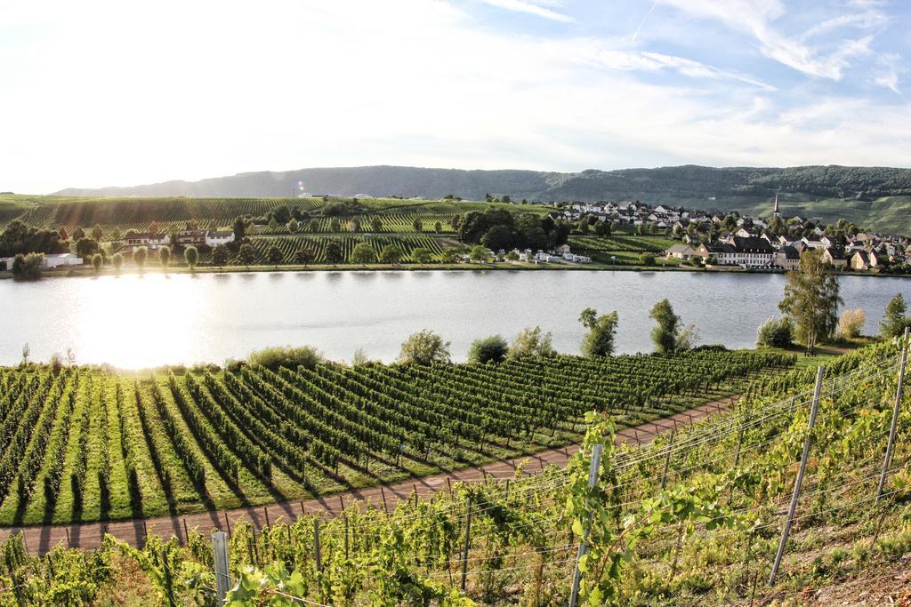 Hotel- Weingut- Moselloreley Piesport Eksteriør billede