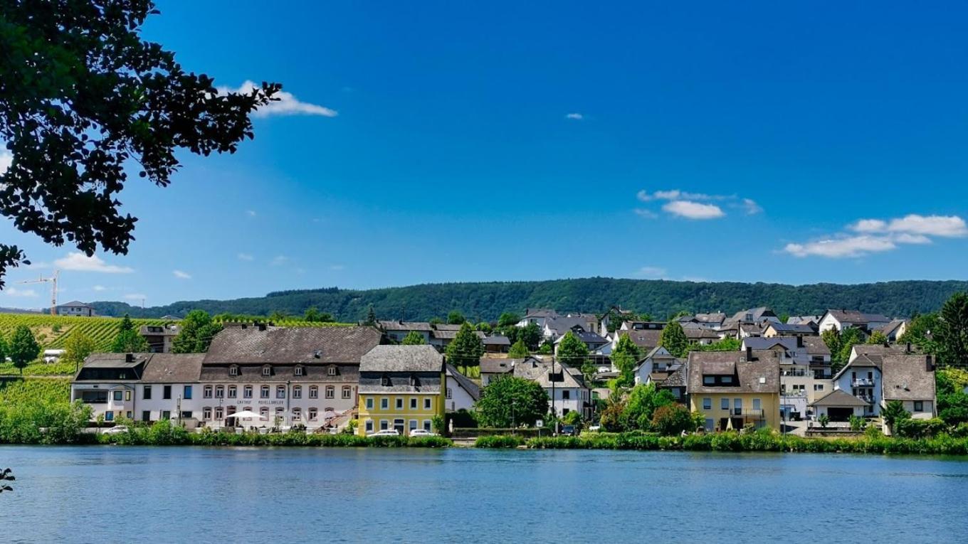 Hotel- Weingut- Moselloreley Piesport Eksteriør billede