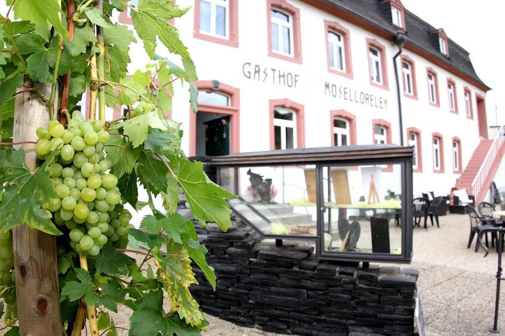 Hotel- Weingut- Moselloreley Piesport Eksteriør billede